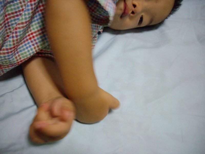 f:id:blepharisma:20080922094702j:image