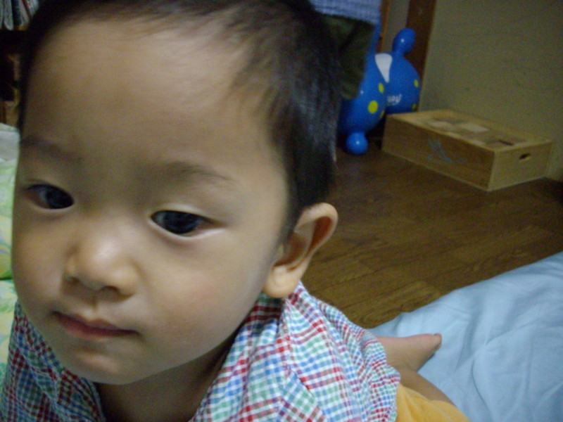 f:id:blepharisma:20080922094707j:image