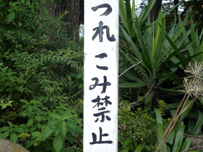 f:id:blepharisma:20081004010141j:image