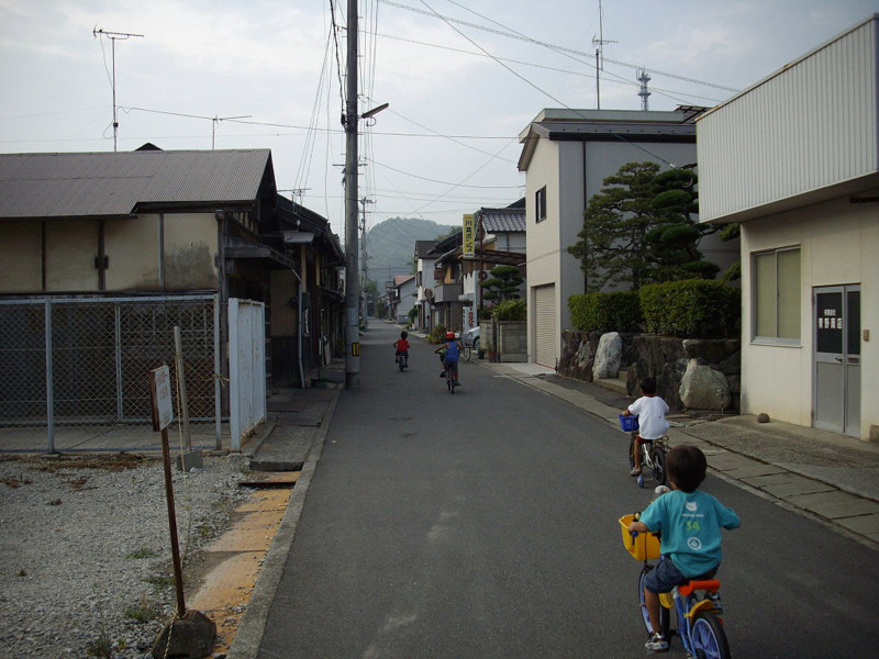 f:id:blepharisma:20081006073744j:image