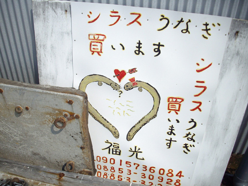 f:id:blepharisma:20081009140600j:image
