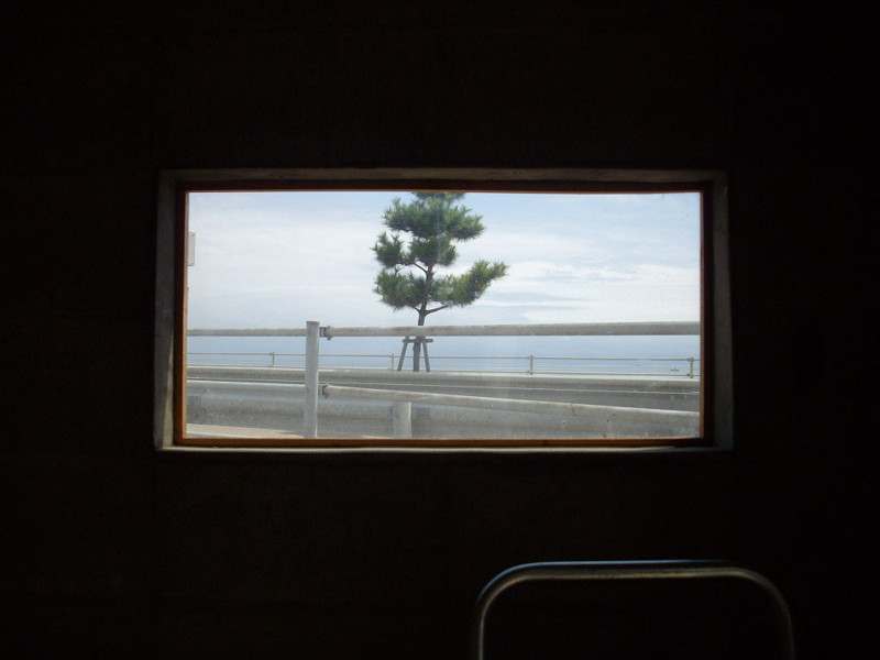 f:id:blepharisma:20081014044713j:image