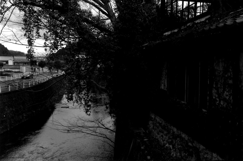 f:id:blepharisma:20081022102721j:image