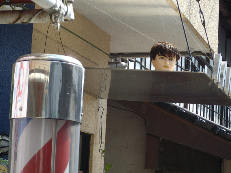 f:id:blepharisma:20081216012945j:image