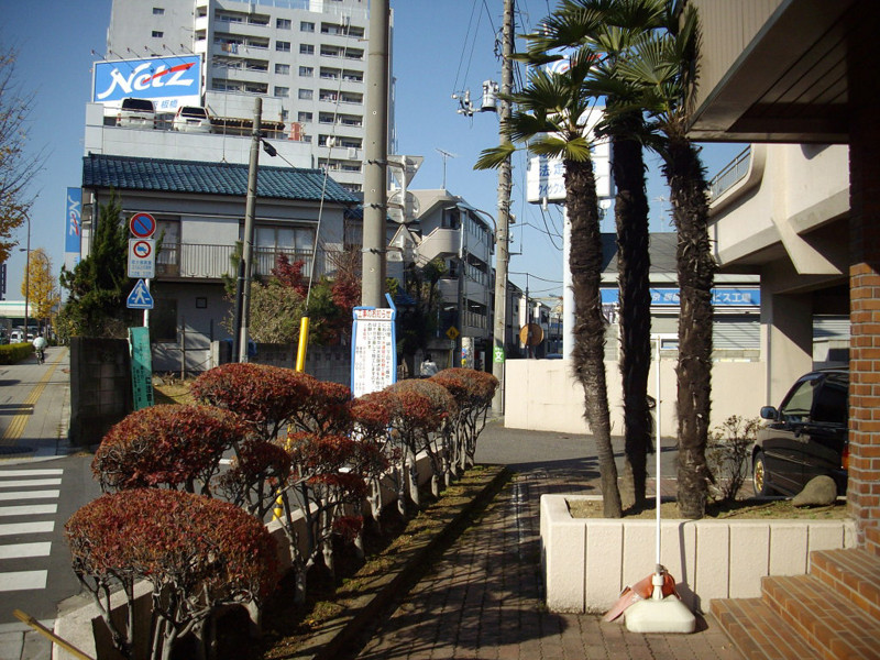 20081221002913