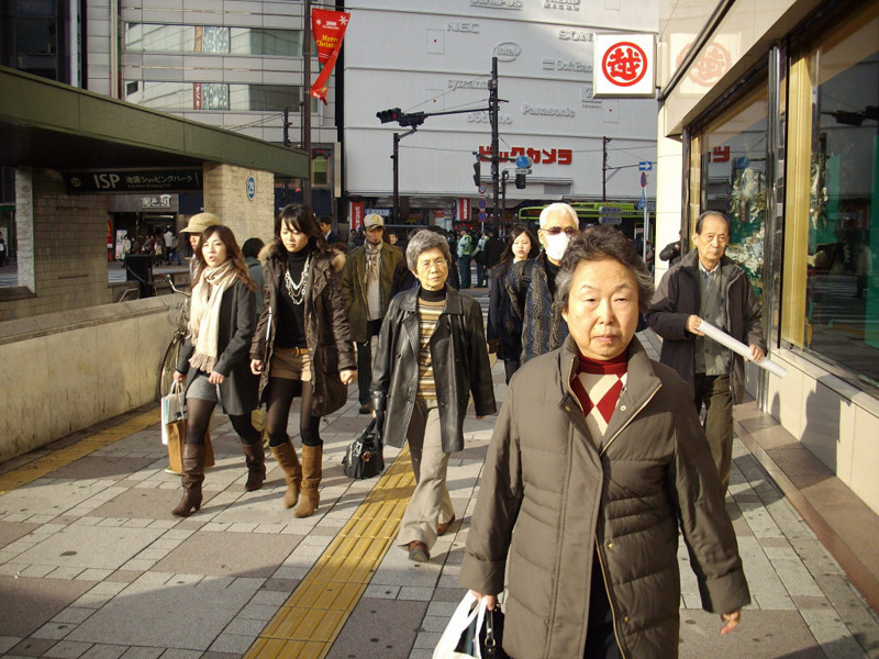 f:id:blepharisma:20081222001134j:image