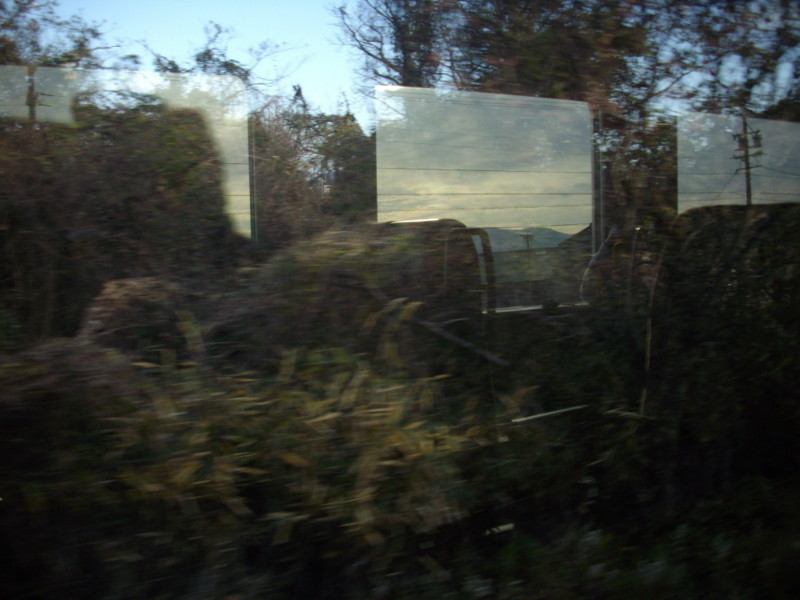f:id:blepharisma:20090101145253j:image