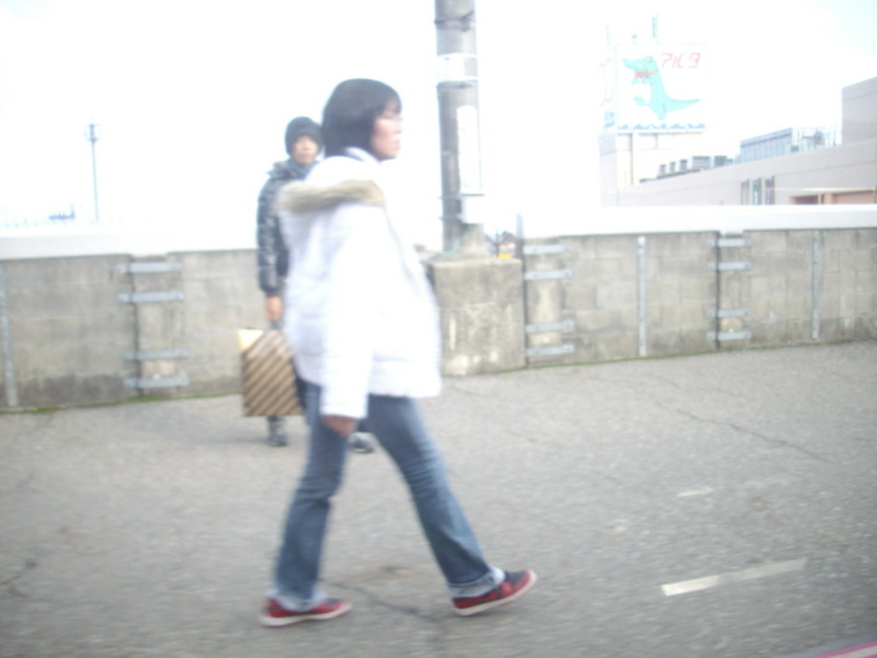 f:id:blepharisma:20090101145259j:image