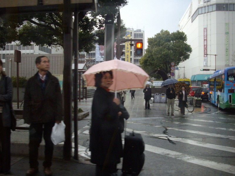 f:id:blepharisma:20090119203928j:image