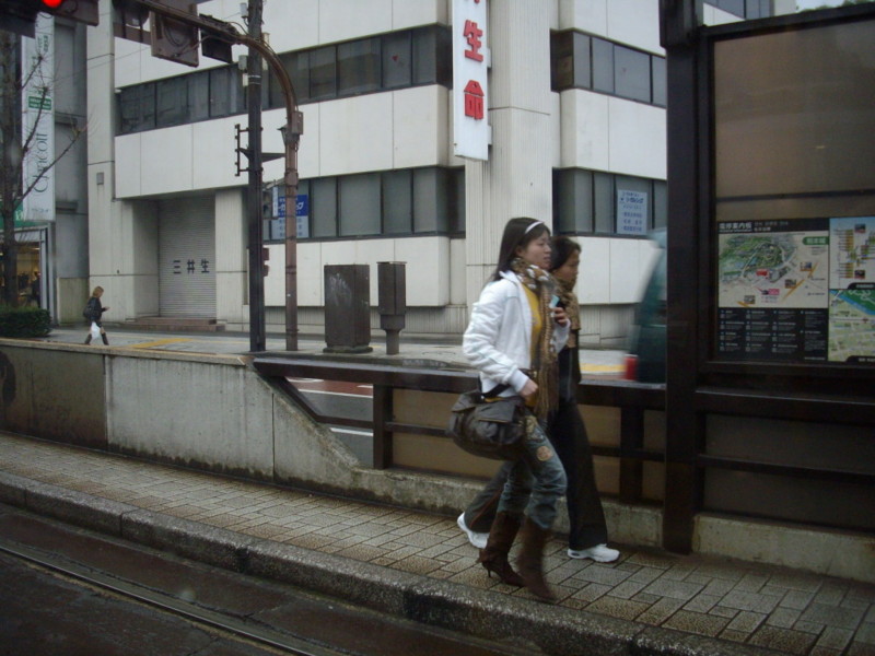 f:id:blepharisma:20090119203933j:image