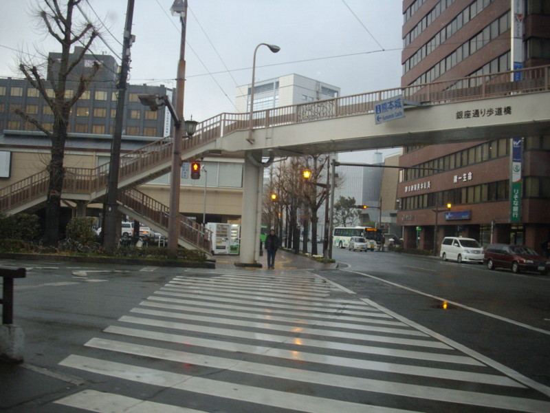 f:id:blepharisma:20090119203934j:image