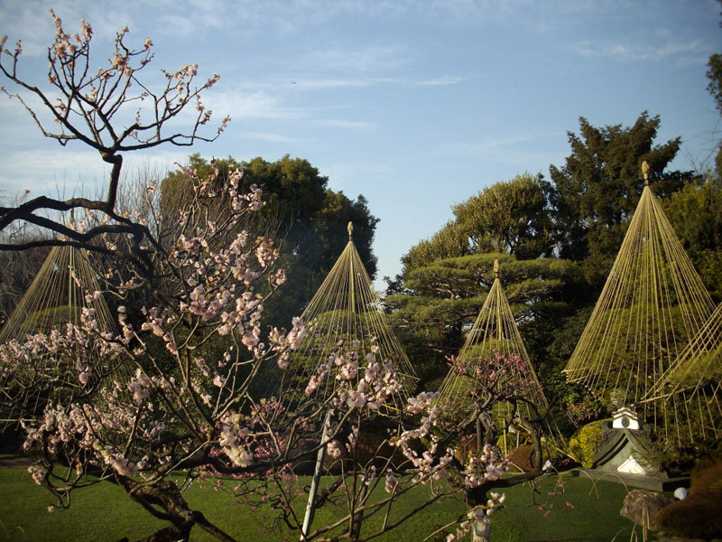 f:id:blepharisma:20090302000423j:image