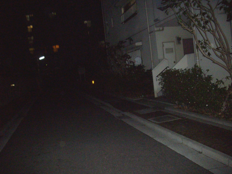f:id:blepharisma:20090302004029j:image