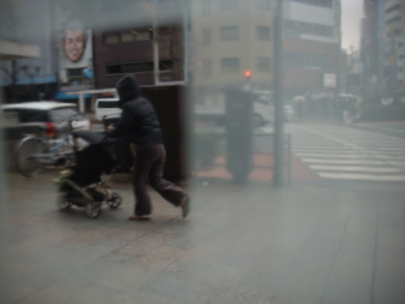 f:id:blepharisma:20090303005425j:image