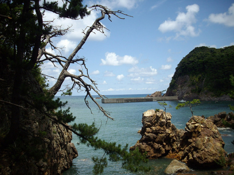 f:id:blepharisma:20090304014157j:image
