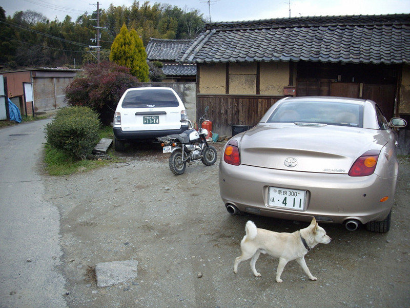 f:id:blepharisma:20090306105717j:image