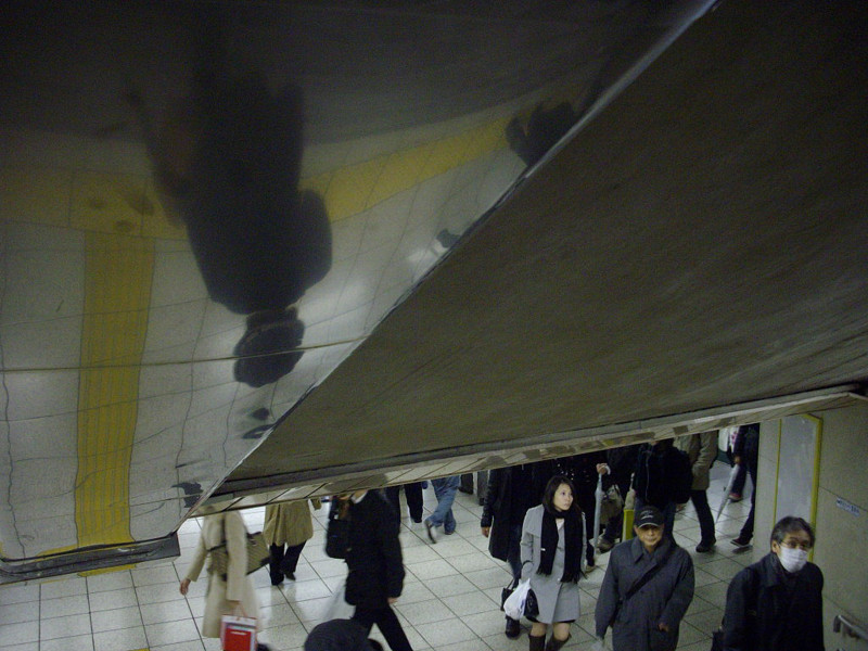 f:id:blepharisma:20090307002112j:image f:id:blepharisma:20090307002112j:image