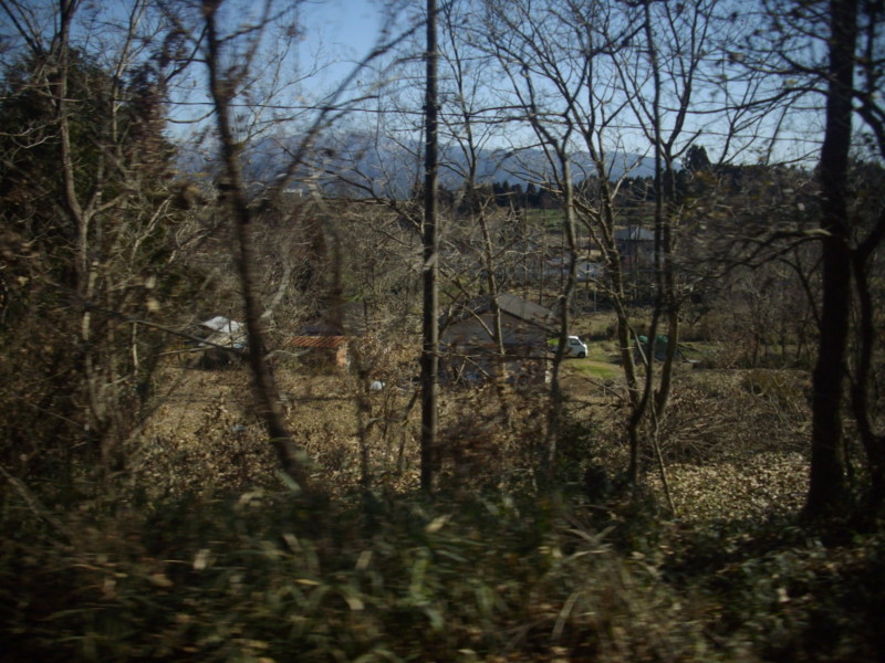 f:id:blepharisma:20090308113424j:image