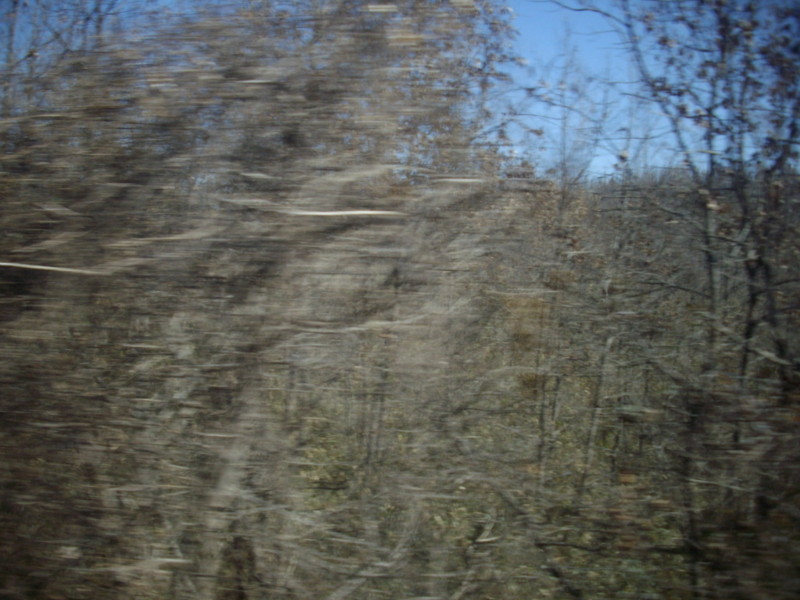 f:id:blepharisma:20090308113426j:image