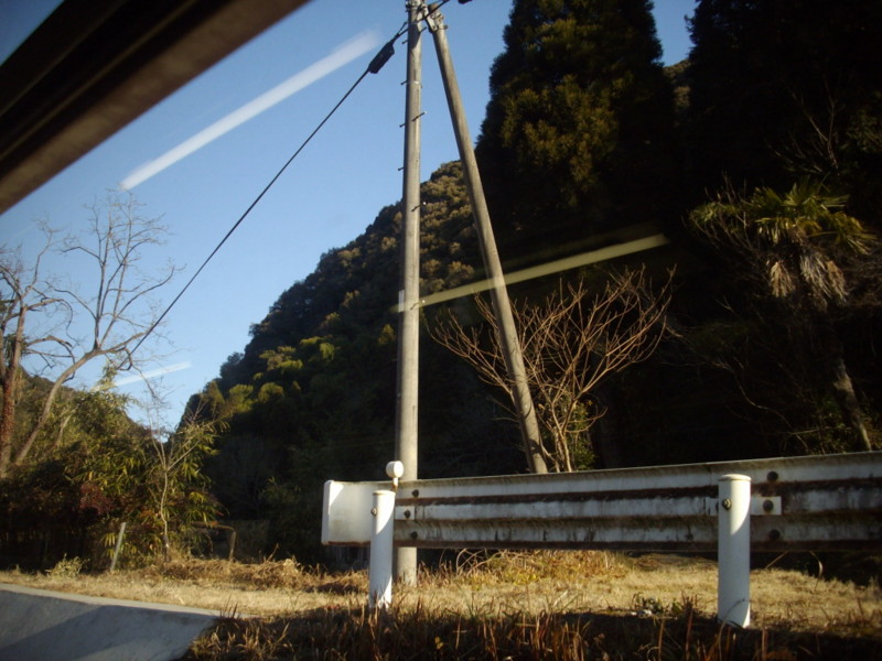f:id:blepharisma:20090308113428j:image