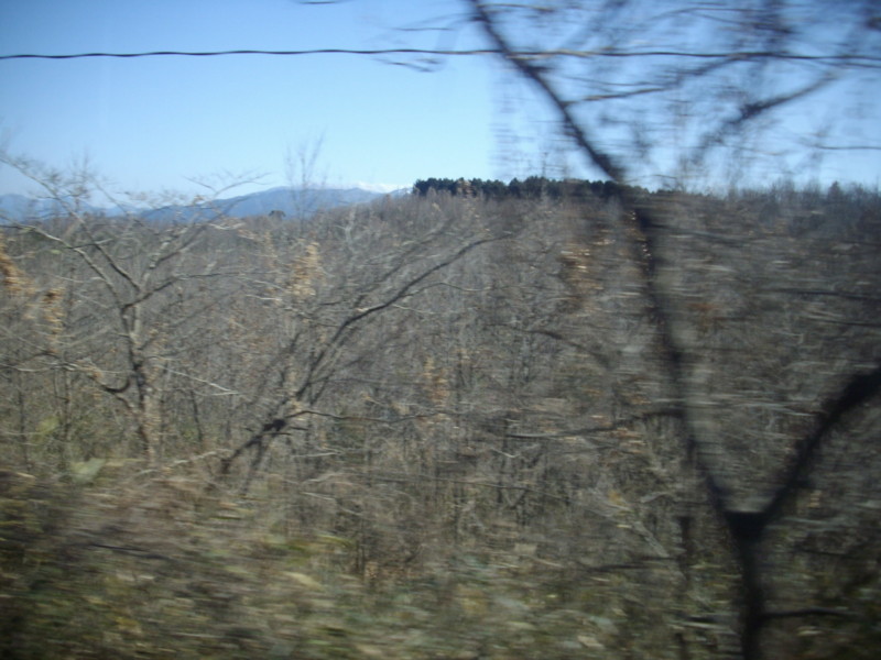 f:id:blepharisma:20090308113733j:image