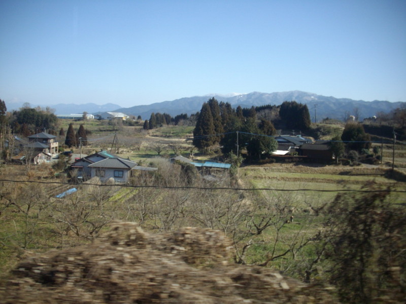 f:id:blepharisma:20090308113735j:image