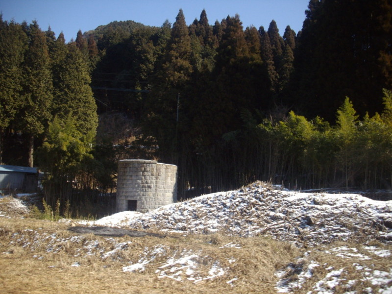 f:id:blepharisma:20090308113738j:image