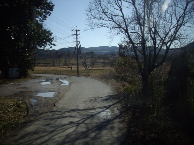 f:id:blepharisma:20090308113741j:image