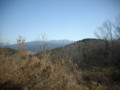 20090308113744