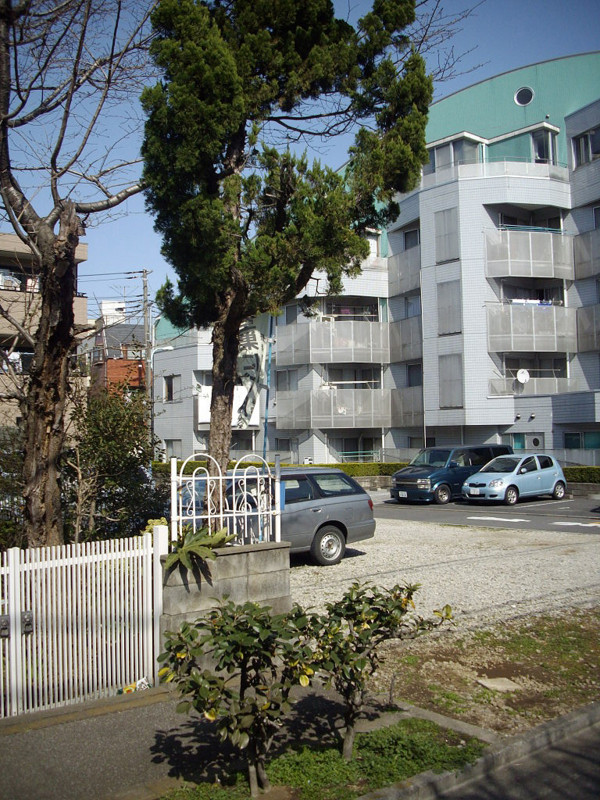 f:id:blepharisma:20090313002351j:image