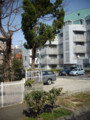 20090313002351