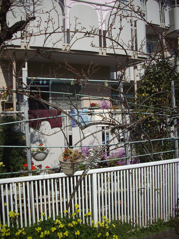 f:id:blepharisma:20090313002616j:image