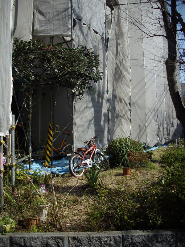 f:id:blepharisma:20090313002617j:image