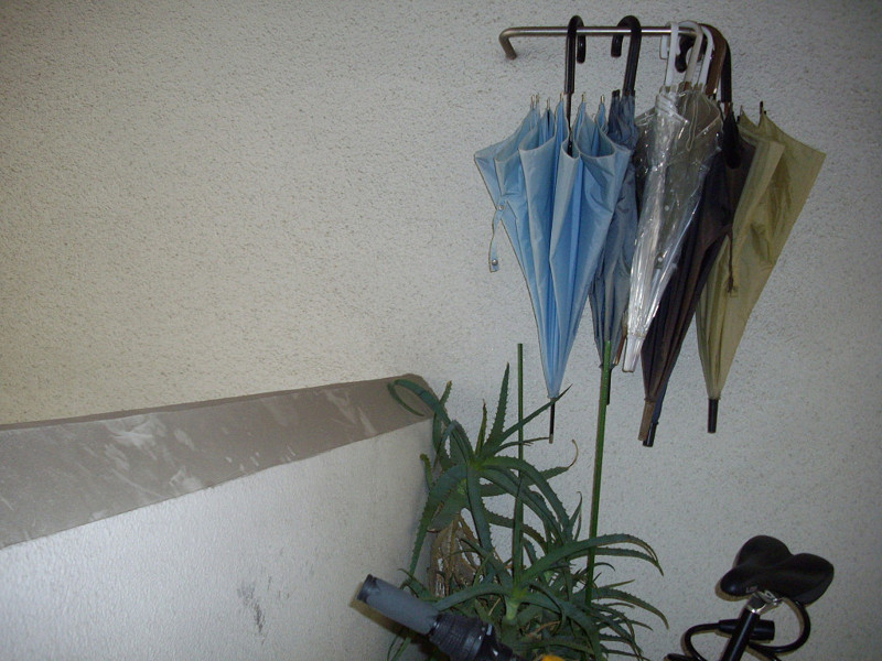 f:id:blepharisma:20090316011125j:image