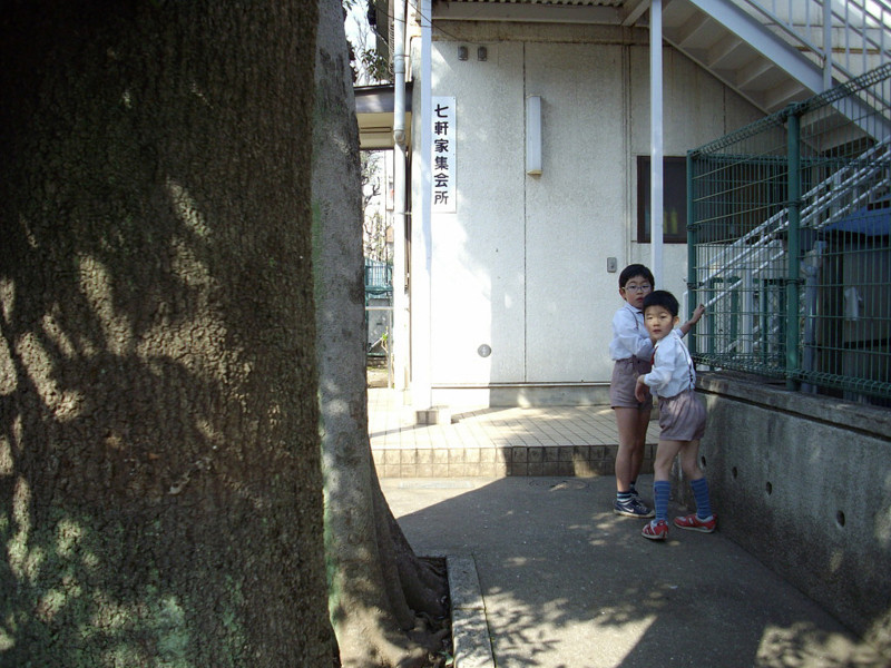 f:id:blepharisma:20090318001958j:image