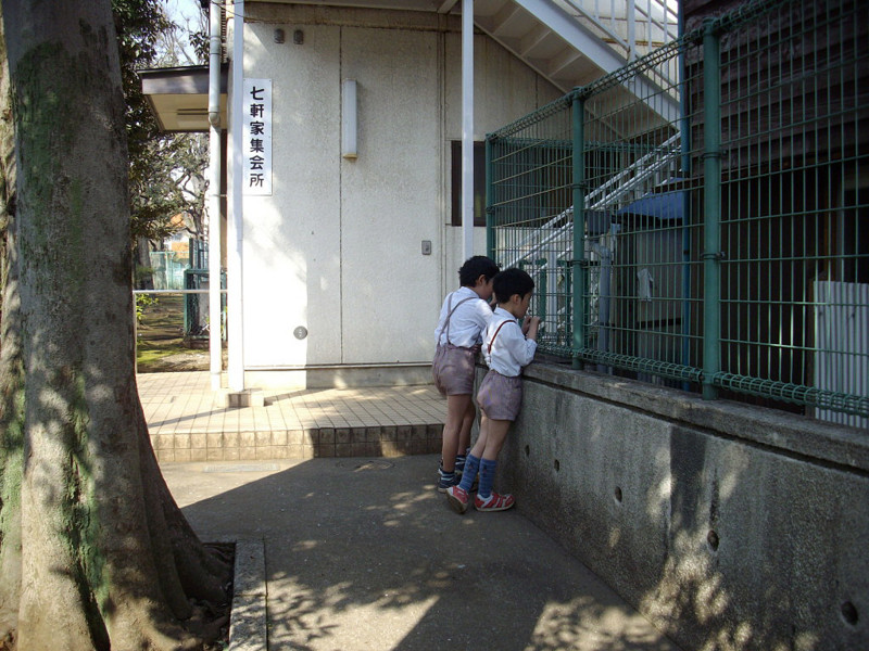 f:id:blepharisma:20090318002001j:image