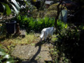 20090324004326