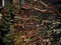 20090324004604