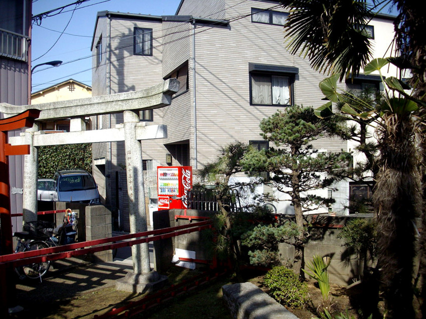 f:id:blepharisma:20090324234918j:image