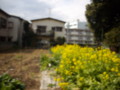 20090327222956