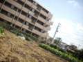 20090327222959
