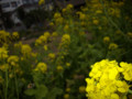 20090406172557
