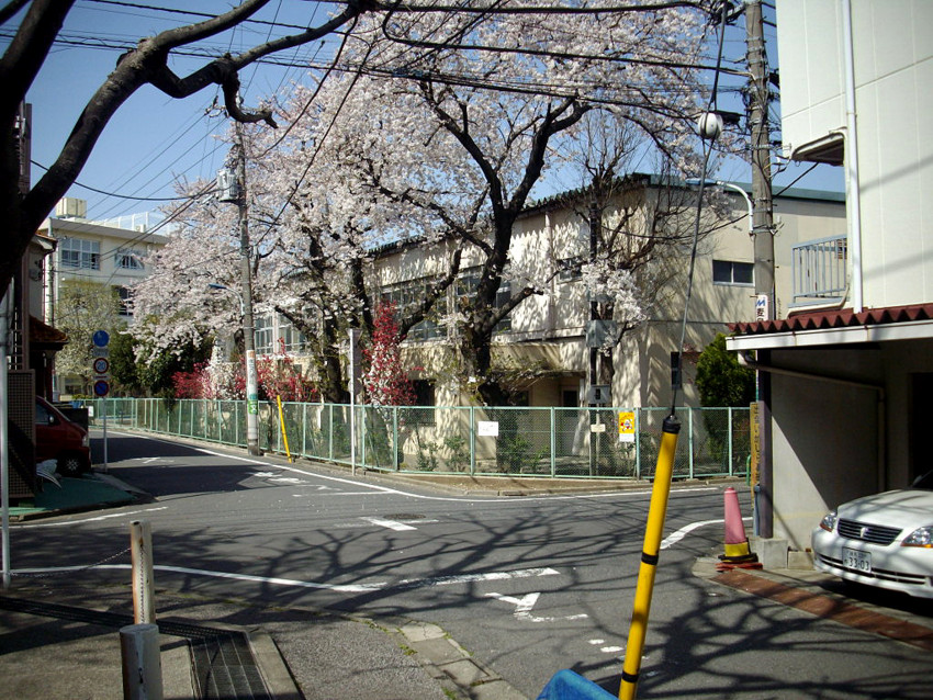 f:id:blepharisma:20090408111934j:image