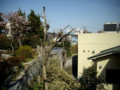 20090409105307