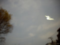 20090412005937