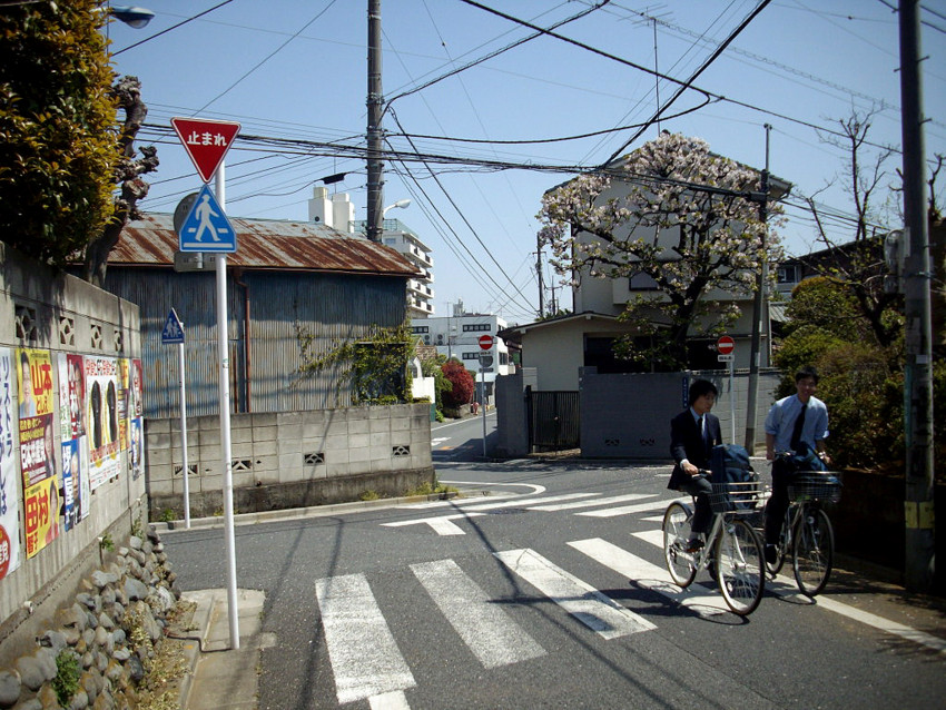 f:id:blepharisma:20090414101144j:image