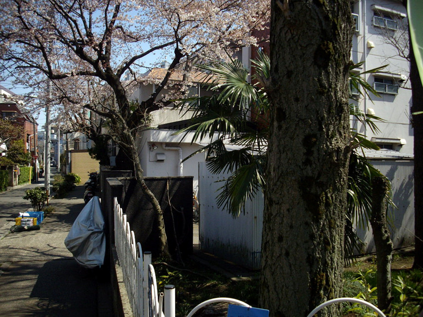 f:id:blepharisma:20090422121641j:image