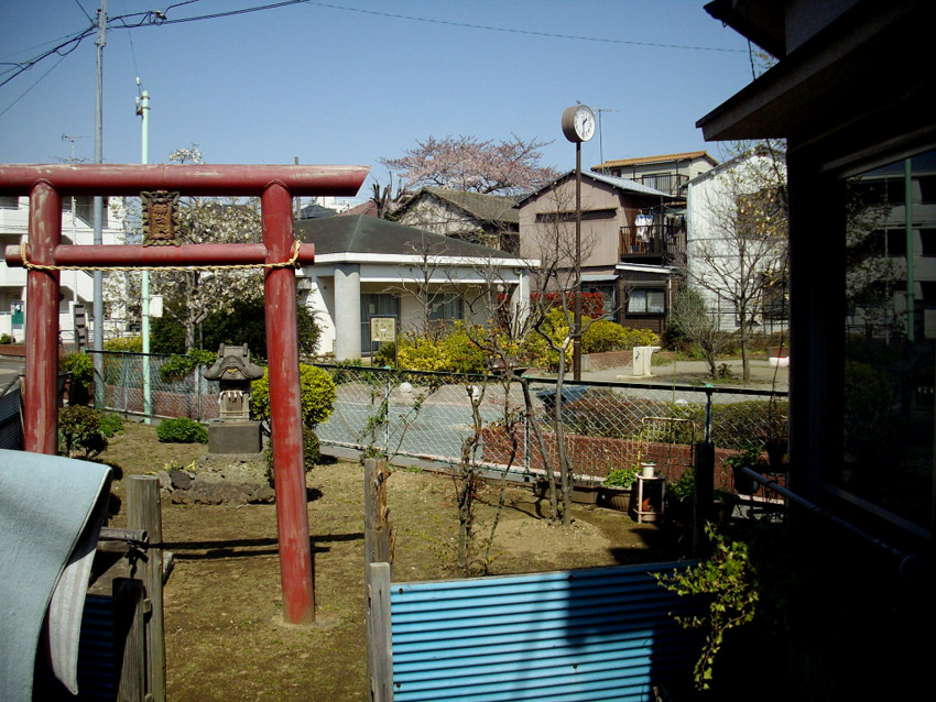 f:id:blepharisma:20090422121646j:image