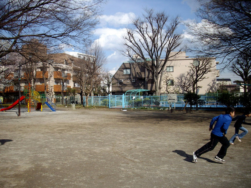 f:id:blepharisma:20090426121026j:image