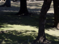 20090427122741